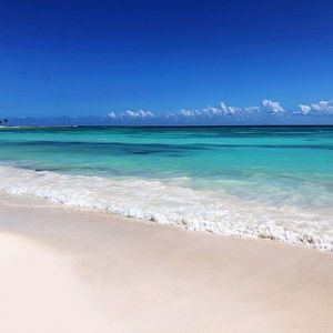 Meet your Posher, Ali